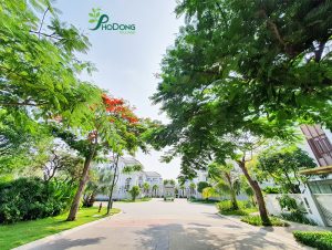 Bán nhà mặt tiền đường 20m khu compound PhoDong Village