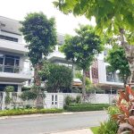 Biệt thự đơn lập PhoDong Village view công viên