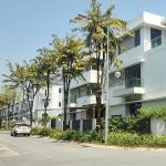 Biệt thự liền kề MT Muồng Tím 20m