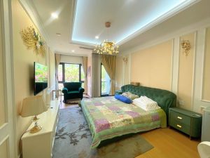 Phố Đông nhà đẹp Full nội thất cho thuê