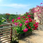 Biệt thự Phố Đông Village cho thuê đủ nội thất